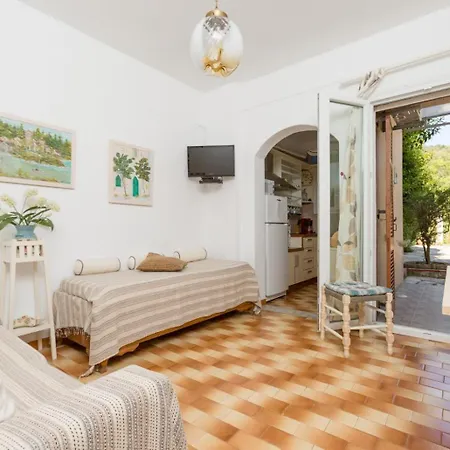 Apartment Effie Agios Stefanos (Thinali)
